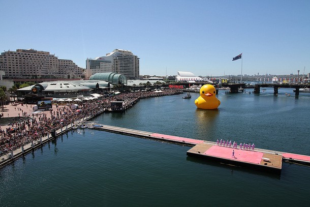 Гигантская резиновая утка плавает в Сидней Харбор (Sydney Harbor)